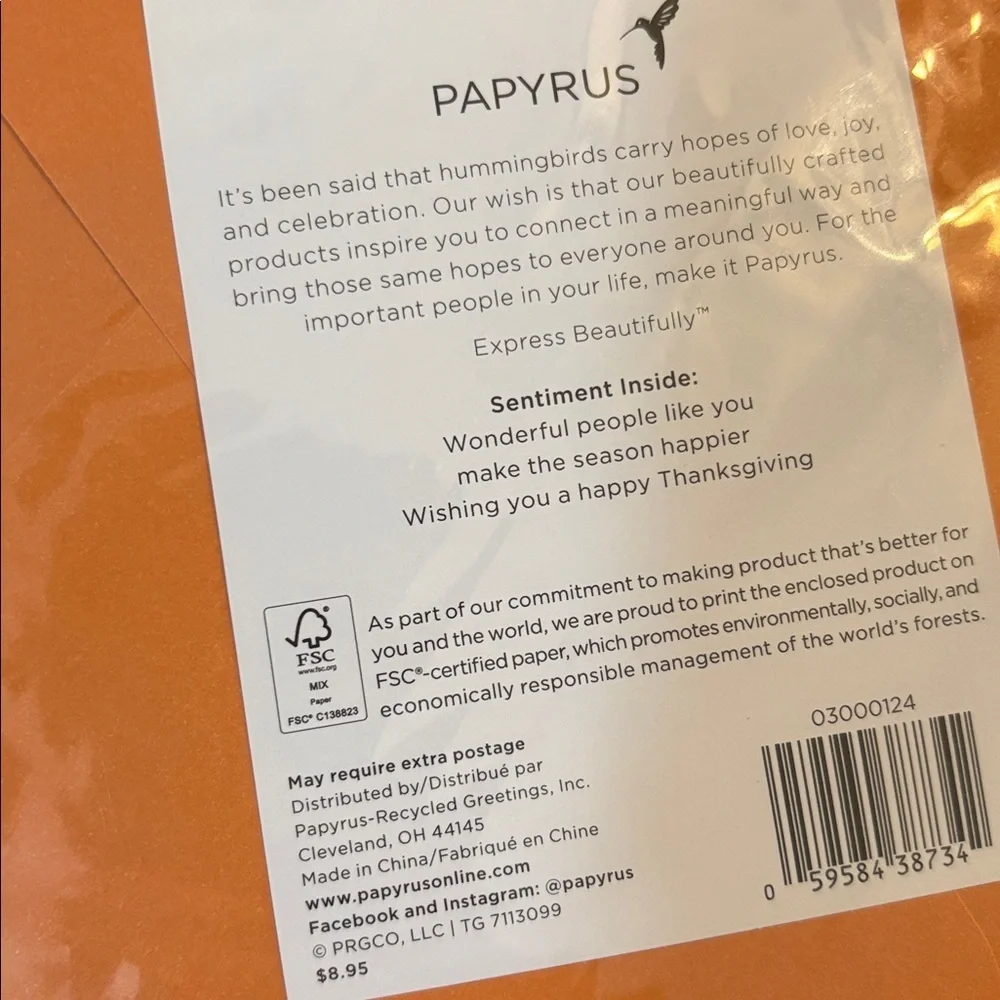 🆕4 Papyrus “Thanksgiving” Greeting Cards